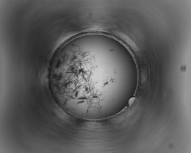 X0000103331356200809051200
