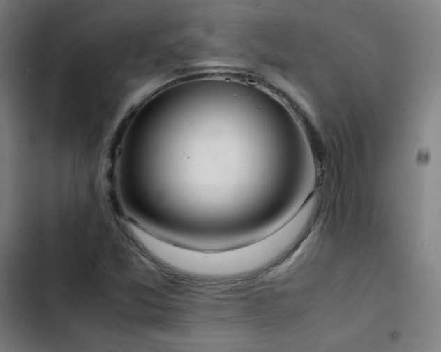 X0000103331357200809051200