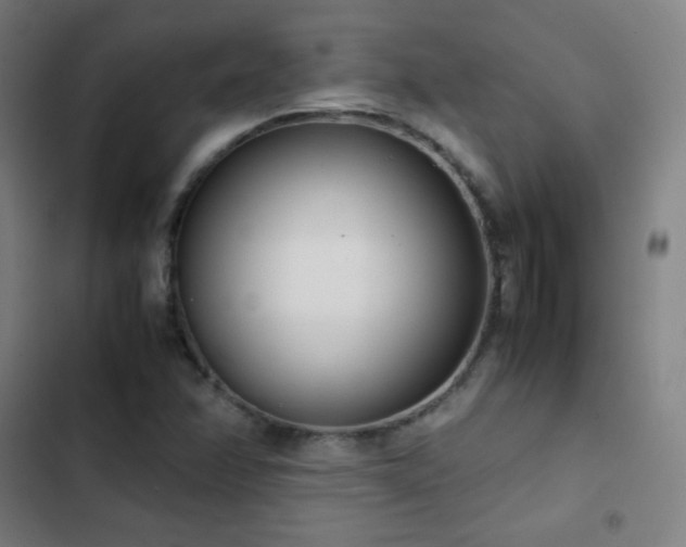 X0000103331358200809051200