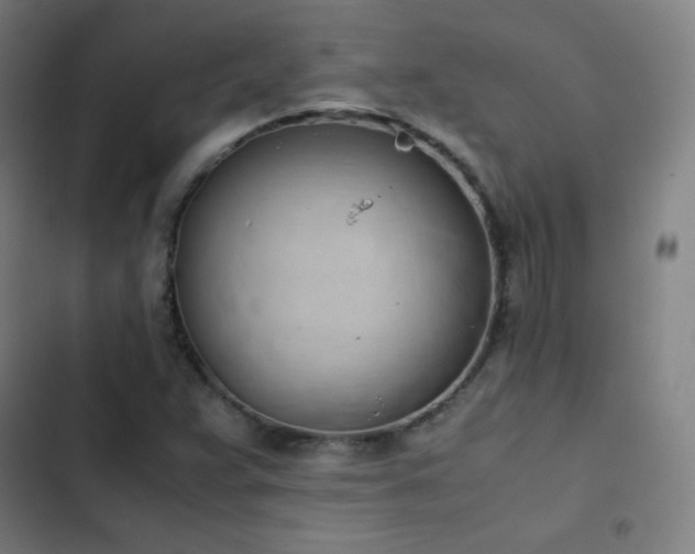 X0000103331359200809051200