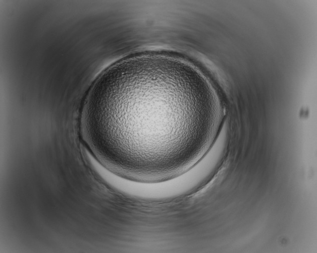X0000103331361200809051200