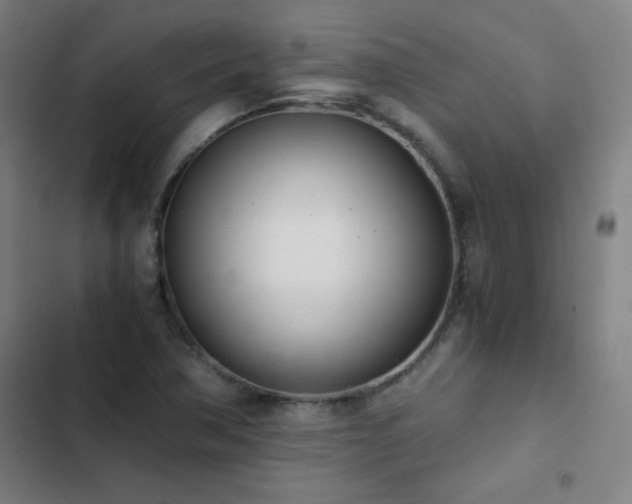 X0000103331362200809051200