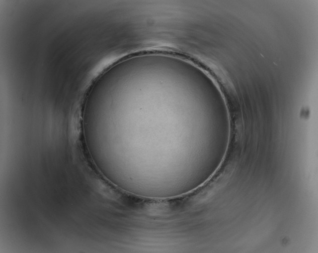 X0000103331363200809051200