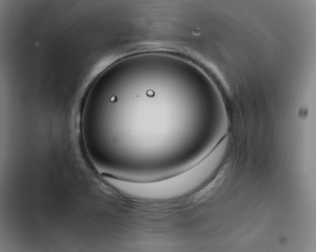 X0000103331365200809051200