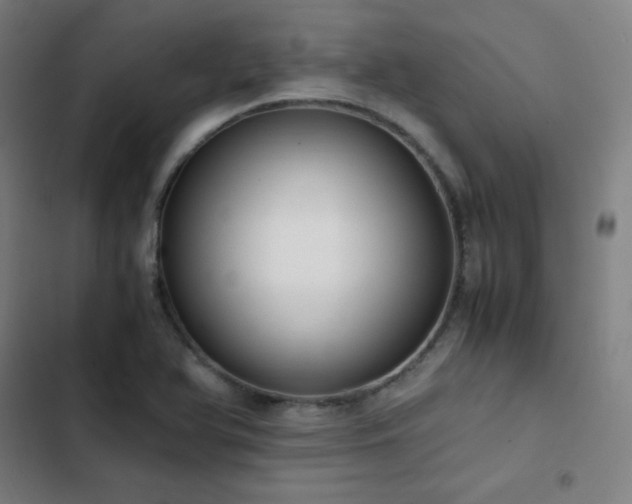 X0000103331366200809051200