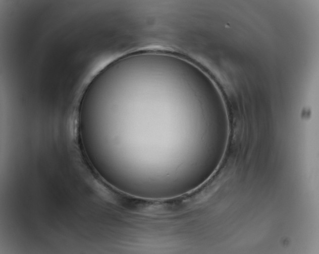 X0000103331367200809051200