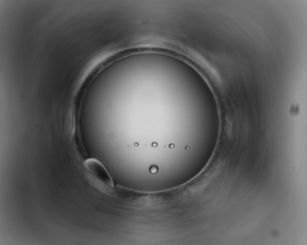 X0000103331368200809051200