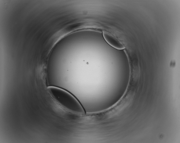X0000103331369200809051200