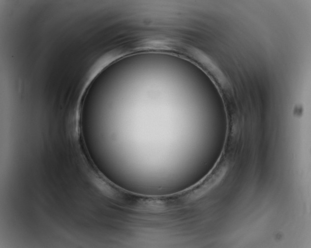 X0000103331370200809051200