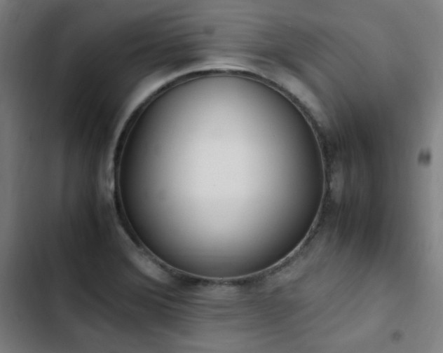 X0000103331372200809051200