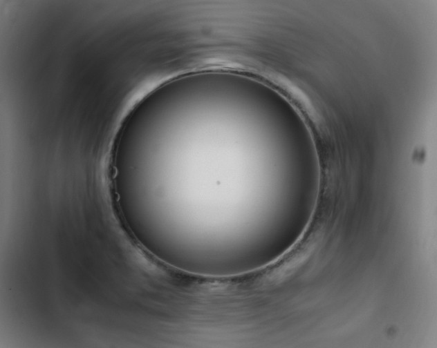 X0000103331373200809051200