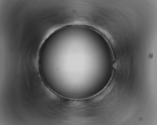 X0000103331374200809051200