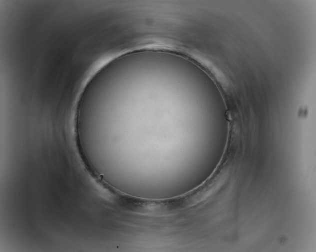 X0000103331375200809051200