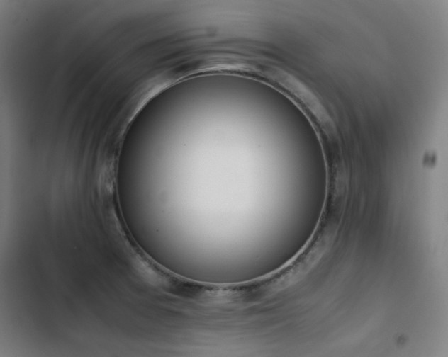 X0000103331377200809051200