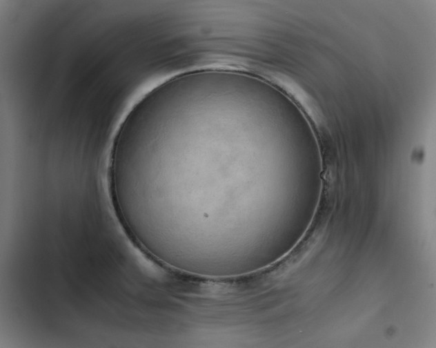 X0000103331379200809051200
