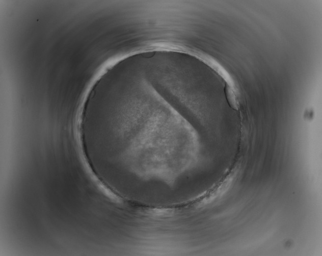 X0000103331381200809051200