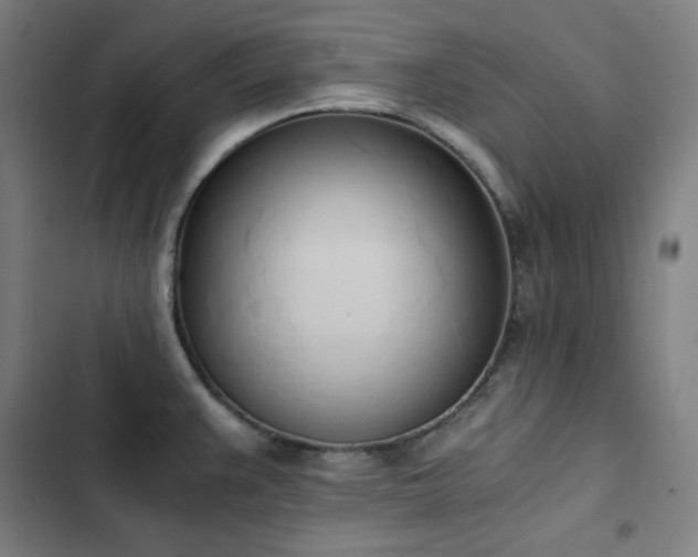 X0000103331383200809051159