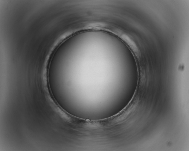 X0000103331384200809051159