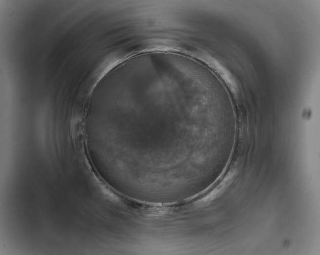 X0000103331385200809051159