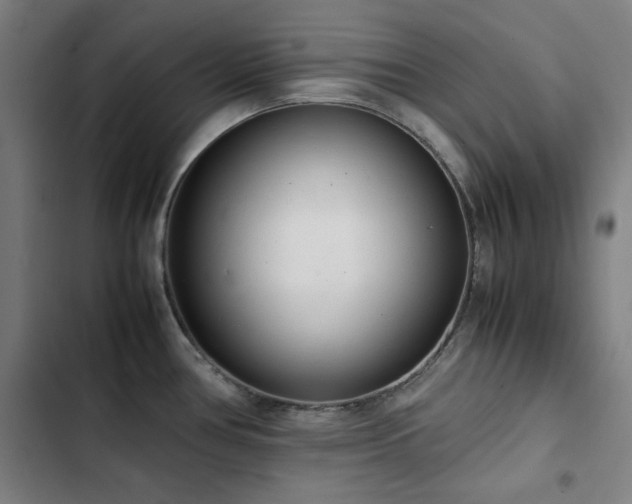 X0000103331386200809051159