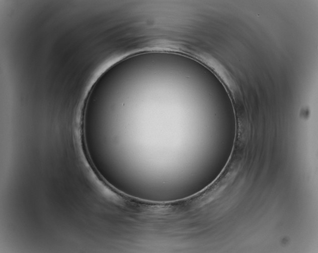 X0000103331387200809051159
