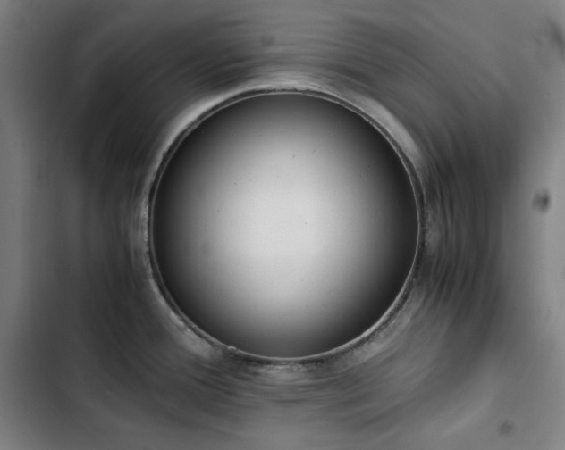 X0000103331388200809051159
