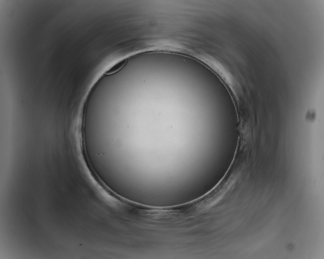 X0000103331391200809051159