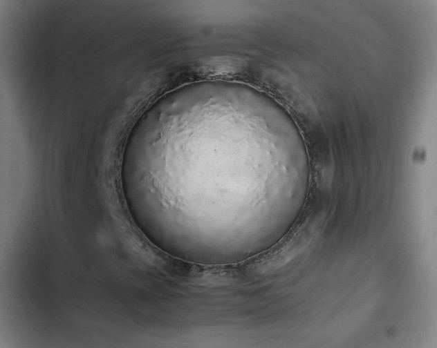 X0000103331393200809051159