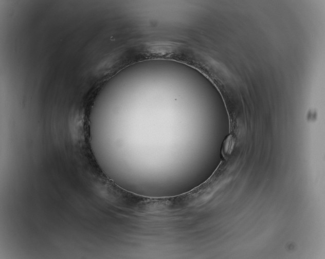X0000103331394200809051159