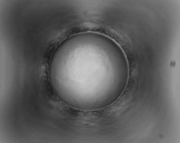 X0000103331397200809051159