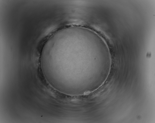 X0000103331399200809051159