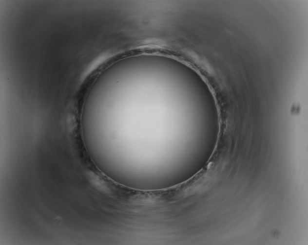 X0000103331400200809051159