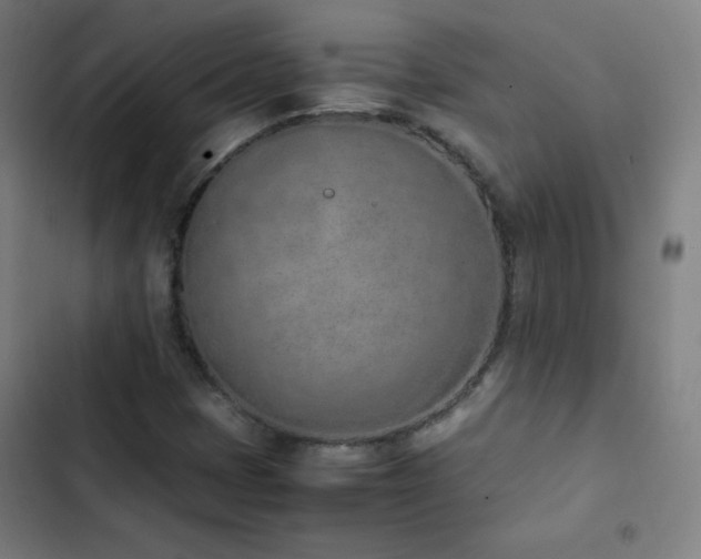 X0000103331401200809051159
