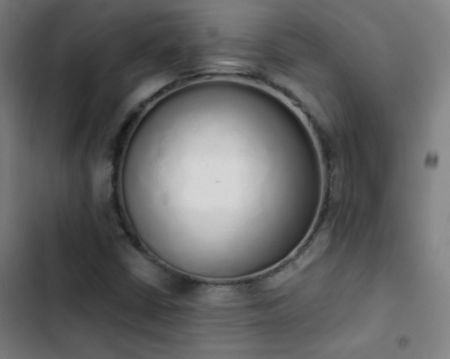 X0000103331402200809051159