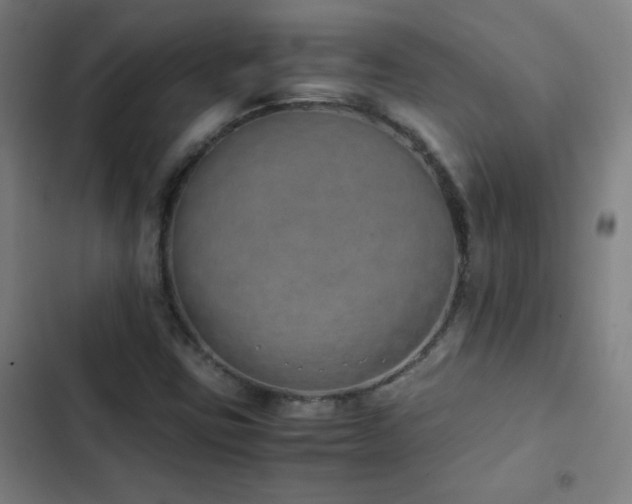 X0000103331403200809051159