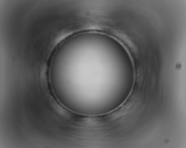 X0000103331404200809051159