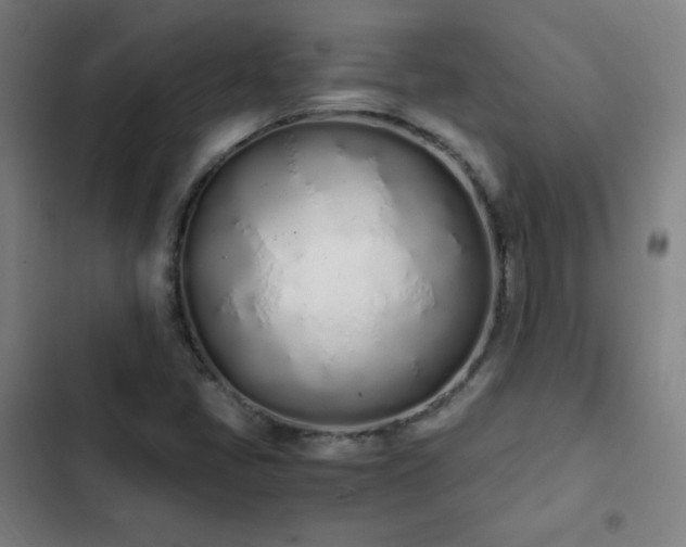 X0000103331405200809051159