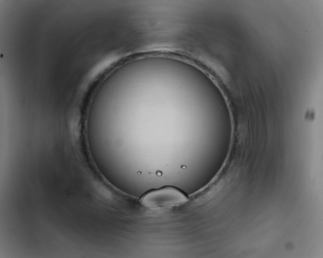 X0000103331406200809051159