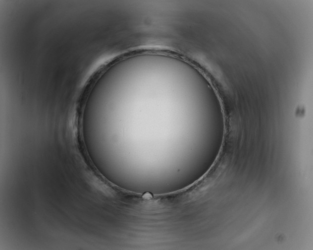 X0000103331408200809051159