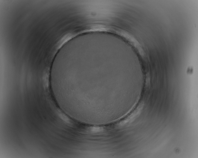 X0000103331409200809051159
