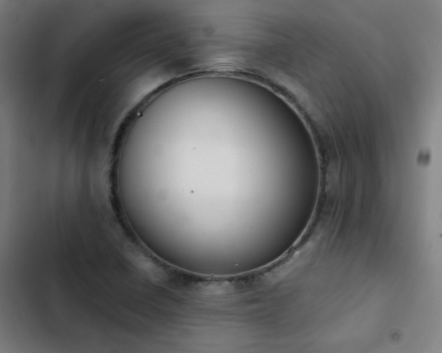 X0000103331410200809051159
