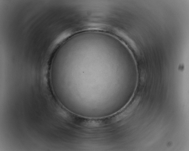 X0000103331411200809051159