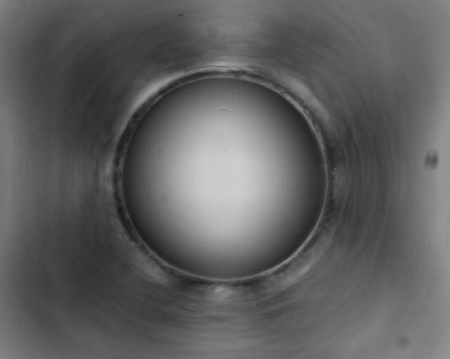 X0000103331412200809051159
