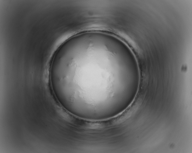 X0000103331413200809051159