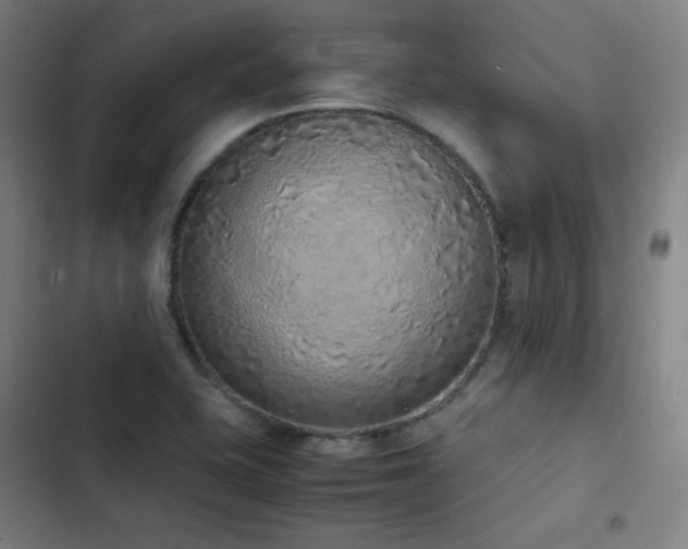 X0000103331415200809051159