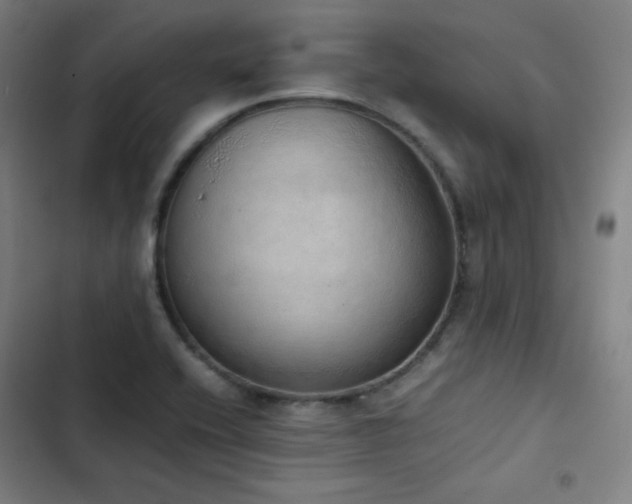 X0000103331416200809051159
