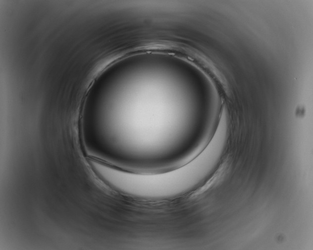 X0000103331417200809051159