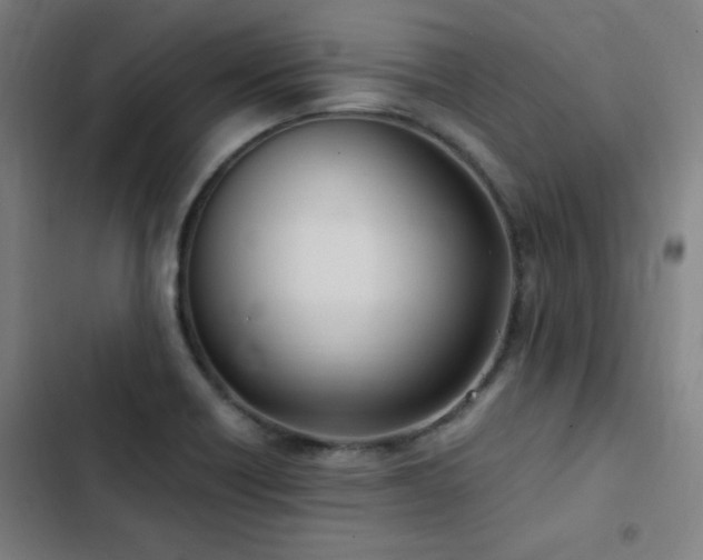 X0000103331418200809051159