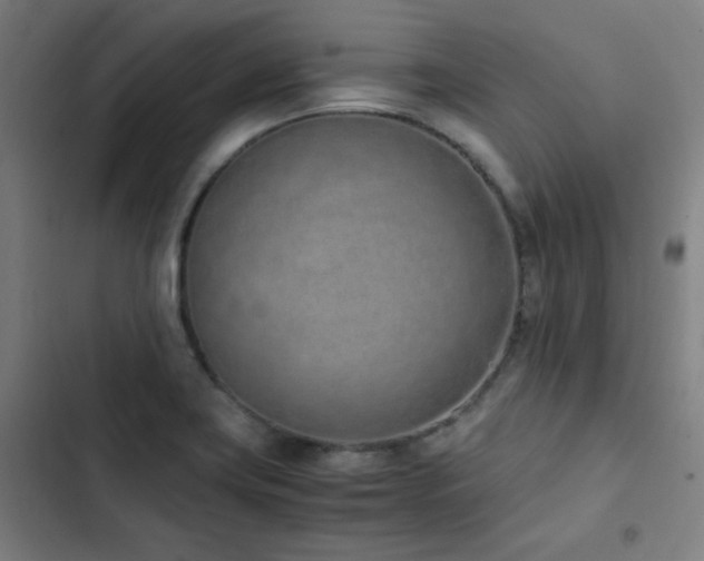 X0000103331419200809051159