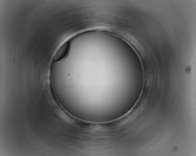 X0000103331420200809051159